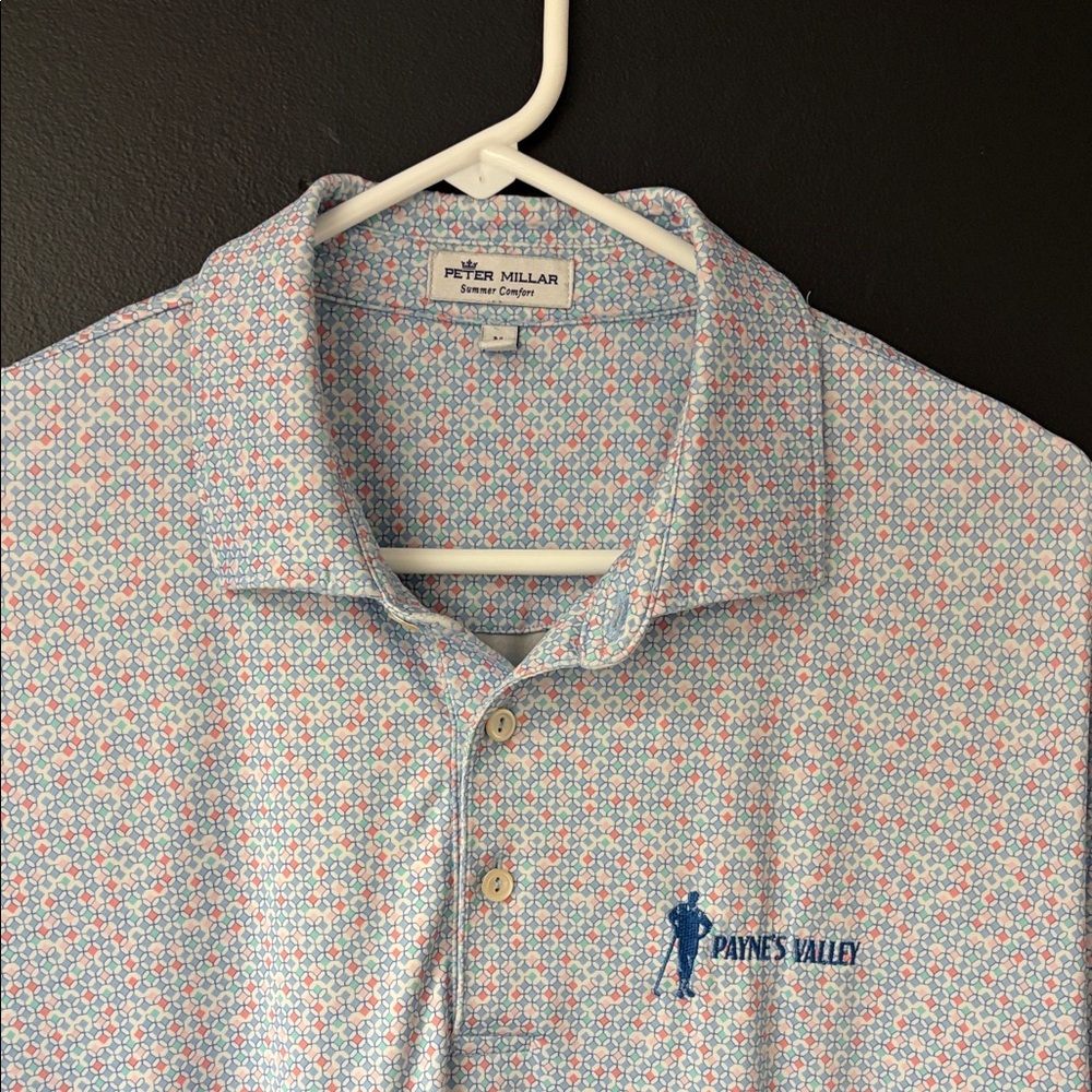 Peter Millar Paynes Valley Men's Light Blue and Red Patterned Polo